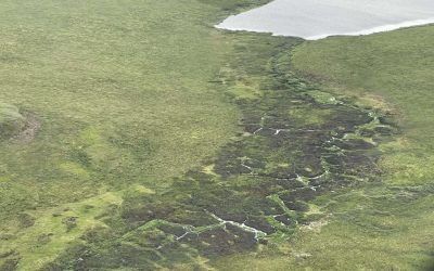 TGI-funded Project Uses Geospatial Tech to Study Permafrost, Plants, and Wildfire