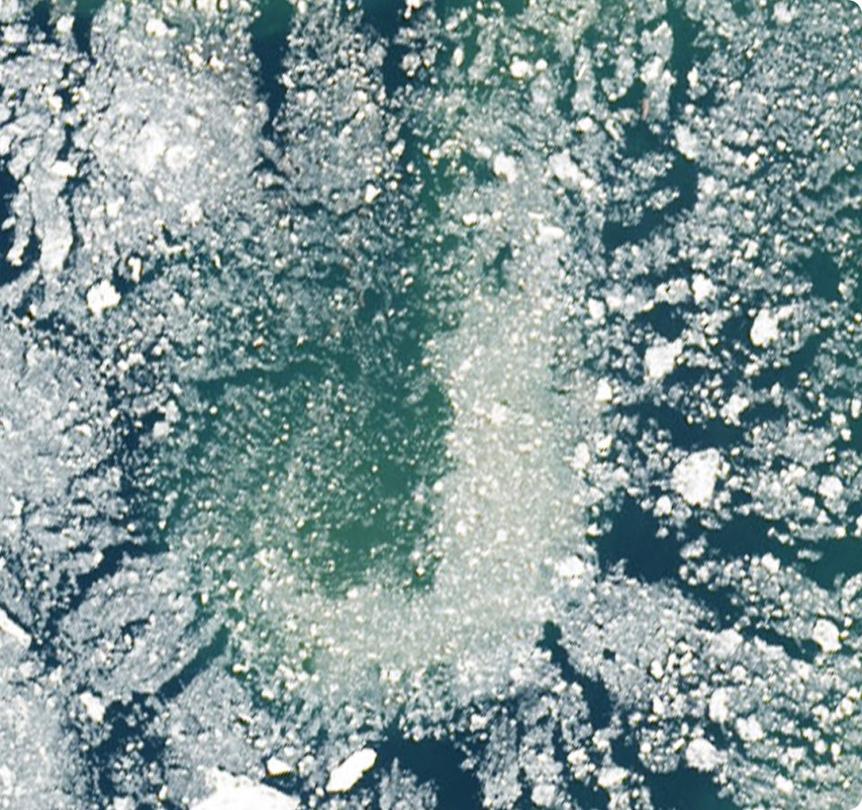 Aerial view of floating ice chunks scattered across a dark green body of water, with some areas of the water more densely covered by ice than others.