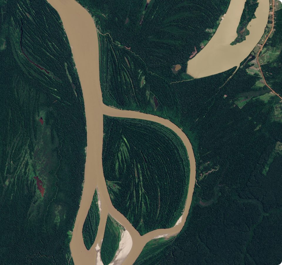 Aerial view of a brown river splitting into two channels, forming an island covered in dense green forest, surrounded by more forest and another river branch in the upper right.