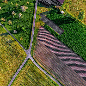 Aerial view of intersecting roads dividing green fields and farmland, with rows of crops, grassy areas, and trees casting long shadows in the sunlight.