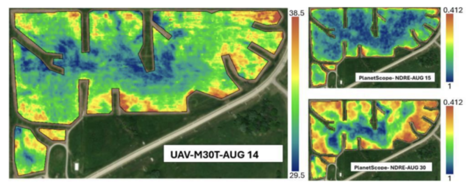 Aerial vegetation index maps show varying plant health in a field, with colors from blue (low) to red/yellow (high). Main map is labeled UAV-M30T-AUG 14; two smaller maps show PlanetScope-NDRE-AUG 15 and PlanetScope-NDRE-AUG 30.