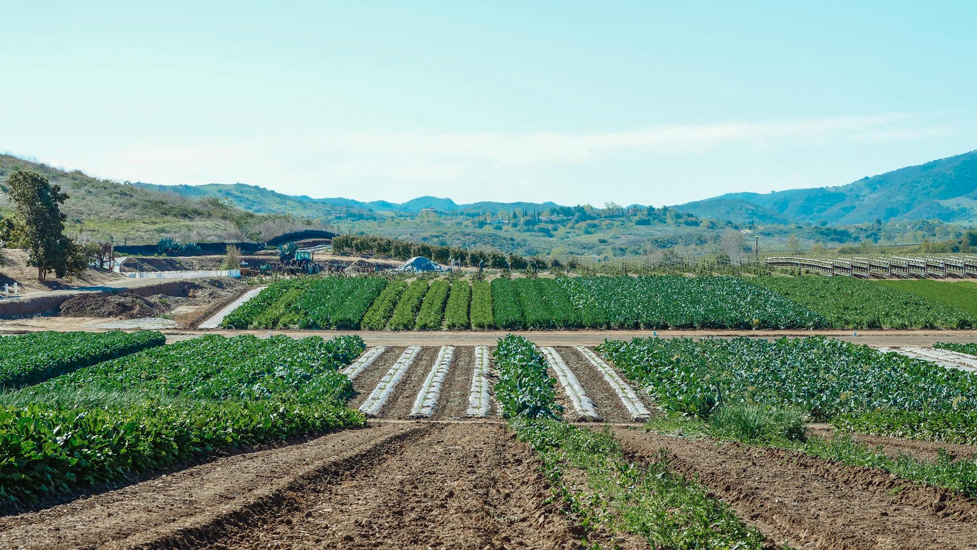 A wide view of a farm field with rows of green crops and tilled soil, surrounded by rolling hills and trees under a clear blue sky.