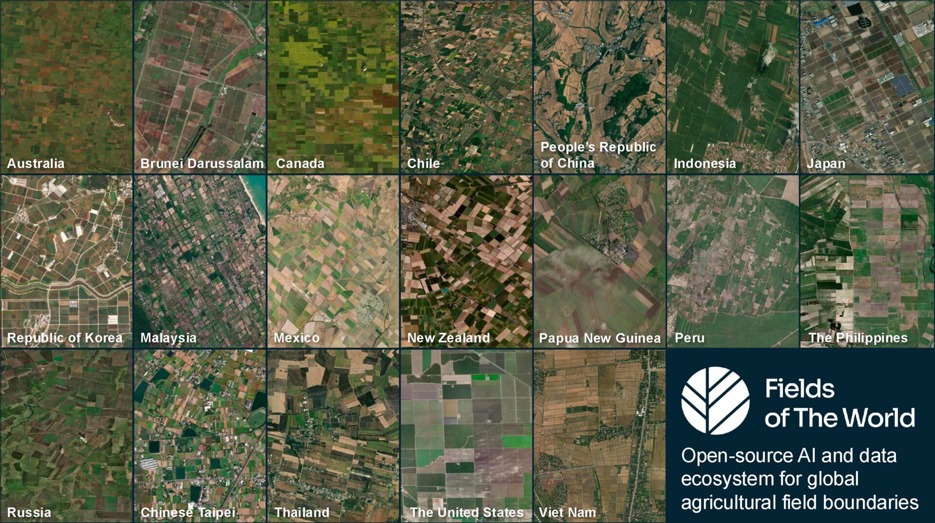A grid of satellite images shows agricultural fields from various countries, each with unique patterns. A logo reads Fields of The World: Open-source AI and data ecosystem for global agricultural field boundaries.
