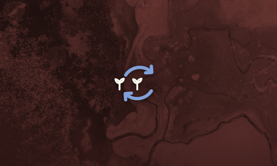 Two small plant sprouts with circular arrows, illustrating a plant growth cycle nearby a maroon background.