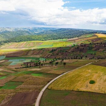 Aerial view of a rural landscape with colorful patchwork fields, a winding road, scattered trees, and distant hills under a partly cloudy sky.