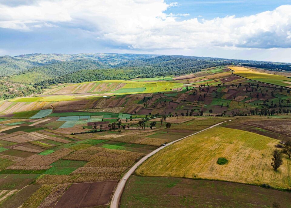 Aerial view of a rural landscape with colorful patchwork fields, a winding road, scattered trees, and distant hills under a partly cloudy sky.